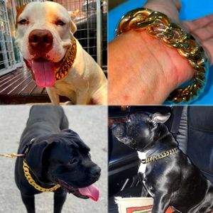 Strong Metal Dog Chain Gold